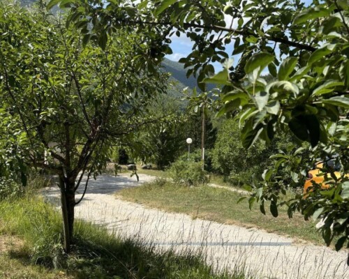 Le camping