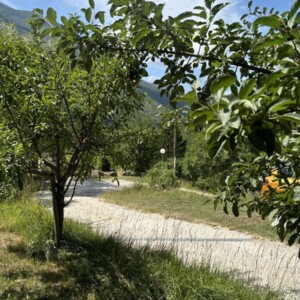 The campsite