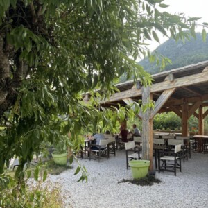 The restaurant