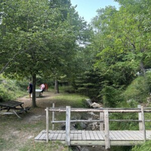 The campsite 