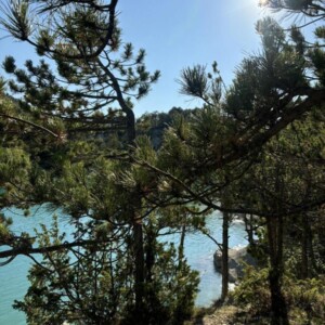 Lake Castillon